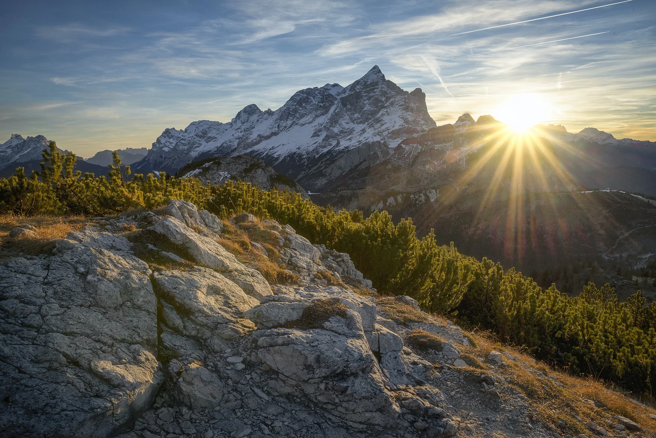 Sculpt Your Peak Physical Presence